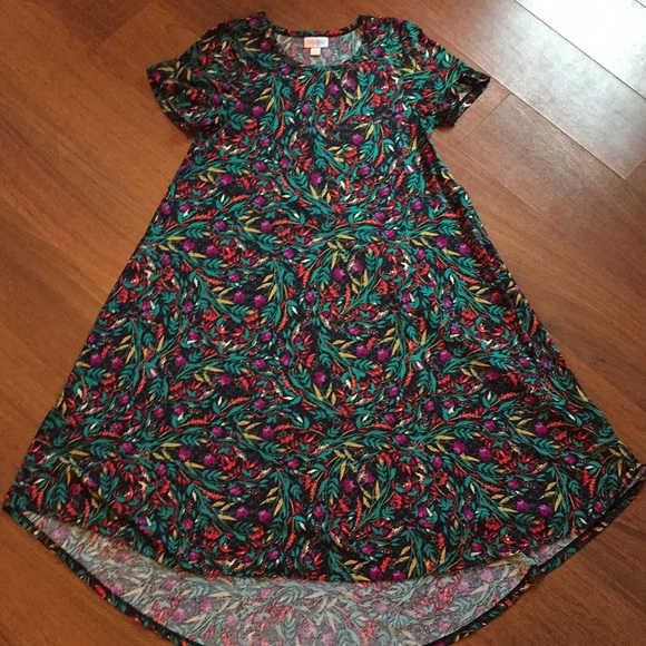 LuLaRoe Dresses & Skirts - Carly dress excellent condition